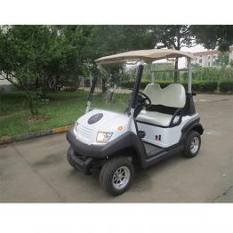 2 Passenger Electric Golf Car B